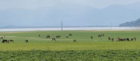 Buon Ma Thuot - Lak - Buon Ma Thuot in 2 days